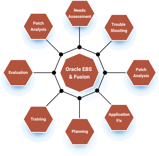 Oracle EBS and Fusion apps managed services