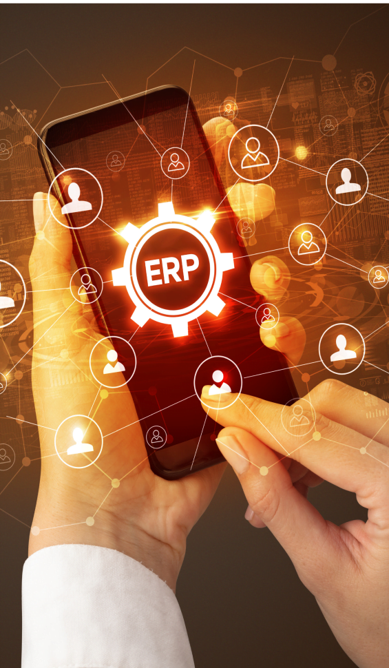 ERP solutions support to various applications/component